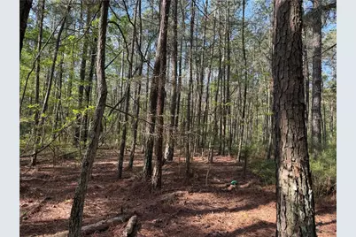 0 Clear Lake Drive, Adairsville, GA 30103 - Photo 33