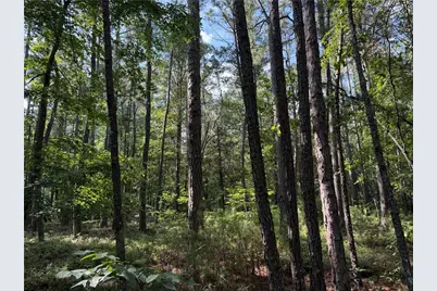 0 Clear Lake Drive, Adairsville, GA 30103 - Photo 17