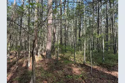 0 Clear Lake Drive, Adairsville, GA 30103 - Photo 31