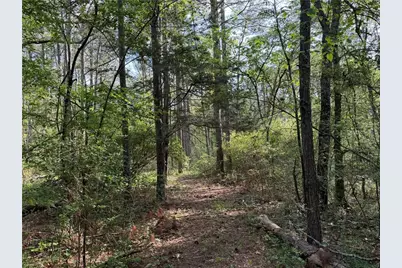 0 Clear Lake Drive, Adairsville, GA 30103 - Photo 23