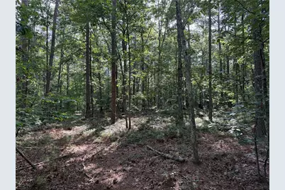 0 Clear Lake Drive, Adairsville, GA 30103 - Photo 17