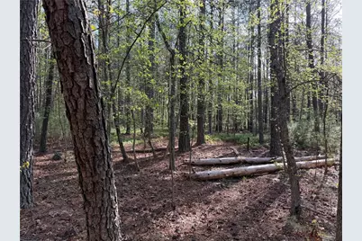 0 Clear Lake Drive, Adairsville, GA 30103 - Photo 27