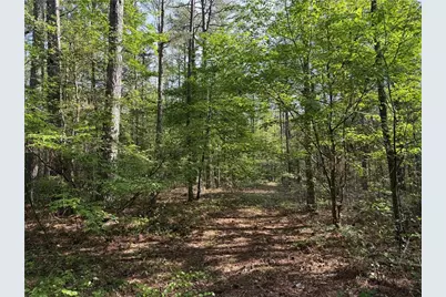 0 Clear Lake Drive, Adairsville, GA 30103 - Photo 25