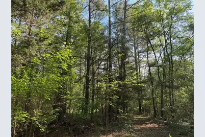 0 Clear Lake Drive, Adairsville, GA 30103 - Photo 37
