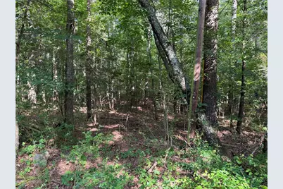 0 Clear Lake Drive, Adairsville, GA 30103 - Photo 21