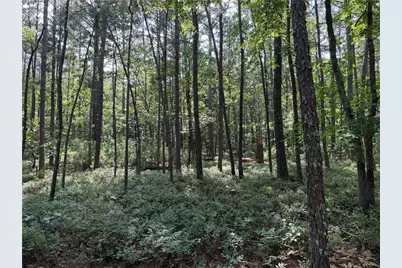 0 Clear Lake Drive, Adairsville, GA 30103 - Photo 15