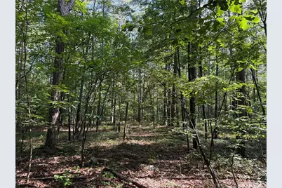 0 Clear Lake Drive, Adairsville, GA 30103 - Photo 11