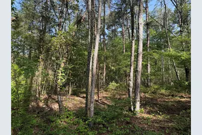 0 Clear Lake Drive, Adairsville, GA 30103 - Photo 23