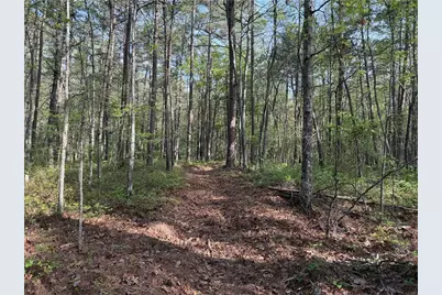 0 Clear Lake Drive, Adairsville, GA 30103 - Photo 29