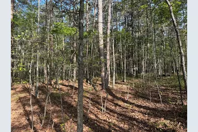 0 Clear Lake Drive, Adairsville, GA 30103 - Photo 31