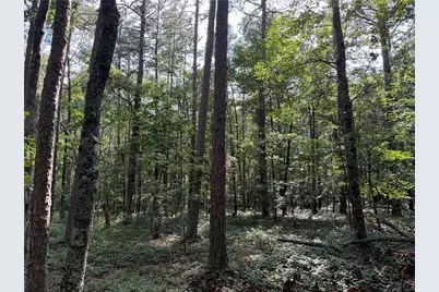 0 Clear Lake Drive, Adairsville, GA 30103 - Photo 3