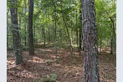 0 Clear Lake Drive, Adairsville, GA 30103 - Photo 19