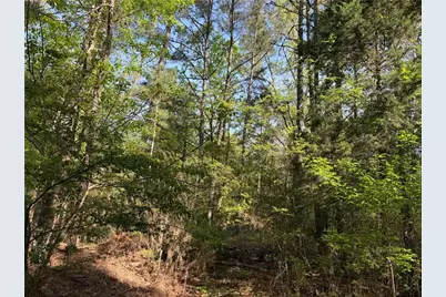 0 Clear Lake Drive, Adairsville, GA 30103 - Photo 35