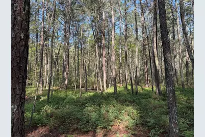 0 Clear Lake Drive, Adairsville, GA 30103 - Photo 35