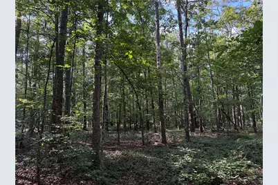 0 Clear Lake Drive, Adairsville, GA 30103 - Photo 5