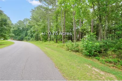1060 Fairway Ridge Road, Greensboro, GA 30642 - Photo 7