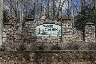 208 Weeks Dr, Ellijay, GA 30540 - Photo 51