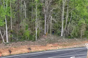 0000 Burruss Mill Rd, Cumming, GA 30041 - Photo 21