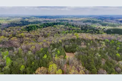 78 Acr Cross Plains Road, Carrollton, GA 30116 - Photo 3