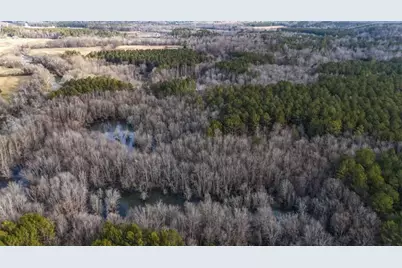 557 Acres On Taliaferro Springs Road, Lyerly, GA 30730 - Photo 7