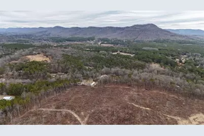 557 Acres On Taliaferro Springs Road, Lyerly, GA 30730 - Photo 11