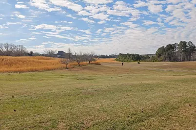188 Gold Bullion Drive W, Dawsonville, GA 30534 - Photo 59