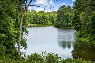 363 Pinnacle Dr, Ellijay, GA 30540 - Photo 97