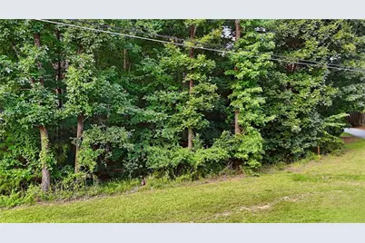 50 Sims Road, Covington, GA 30016 - Photo 3