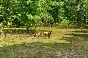1600 Old Alabama Rd, Taylorsville, GA 30178 - Photo 83