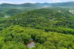 847 Orchard Rd, Jasper, GA 30143 - Photo 59