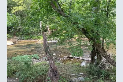 0 Highway 136 W, Talking Rock, GA 30175 - Photo 3