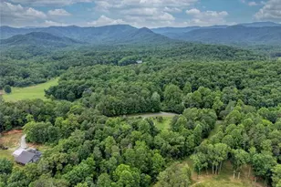 399 Pack Creek Rd, Blue Ridge, GA 30513 - Photo 43
