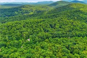 167 Mangum's Trail, Blue Ridge, GA 30513 - Photo 55
