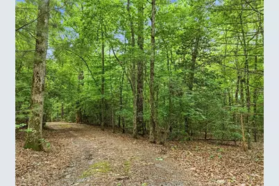 167 Mangums Trail, Blue Ridge, GA 30513 - Photo 53
