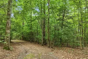167 Mangum's Trail, Blue Ridge, GA 30513 - Photo 53