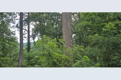 001 Windning Ridge, Blairsville, GA 30512 - Photo 5