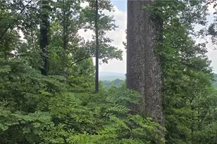 001 Windning Ridge, Blairsville, GA 30512 - Photo 1