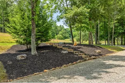 227 Dills Road, Blue Ridge, GA 30513 - Photo 37