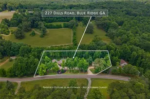 227 Dills Rd, Blue Ridge, GA 30513 - Photo 47