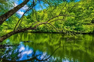 133 Muller Ln, Ellijay, GA 30540 - Photo 3