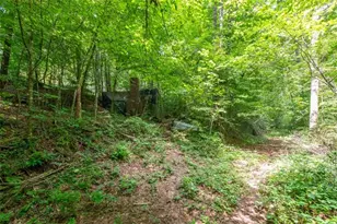 2411 Rackley Rd, Ellijay, GA 30536 - Photo 27