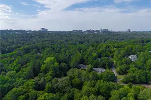 4441 Rebel Valley View SE, Atlanta, GA 30339 - Photo 103