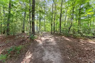 5314 H Thomas Rd, Gainesville, GA 30506 - Photo 37