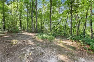 5314 H Thomas Rd, Gainesville, GA 30506 - Photo 43