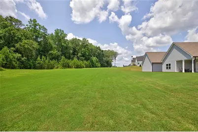 48 Starr Place, Newnan, GA 30263 - Photo 47