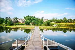 6716 Scarlet Oak Way, Flowery Branch, GA 30542 - Photo 5