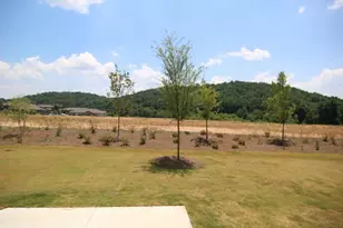 51 Briarwood Dr W, Dawsonville, GA 30534 - Photo 25