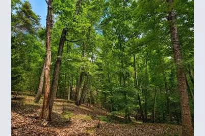 0 Gadsden Road, Cave Spring, GA 30124 - Photo 11