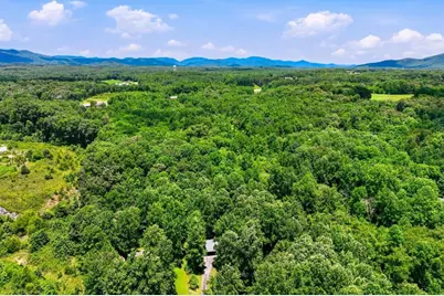 188 Seaborn Drive, Cleveland, GA 30528 - Photo 43