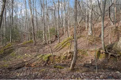 50 Old Stamp Mill Road, Dahlonega, GA 30533 - Photo 11